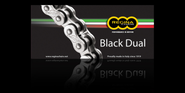 REGINA Z-RING KETTE 520 BLACK-DUAL 116